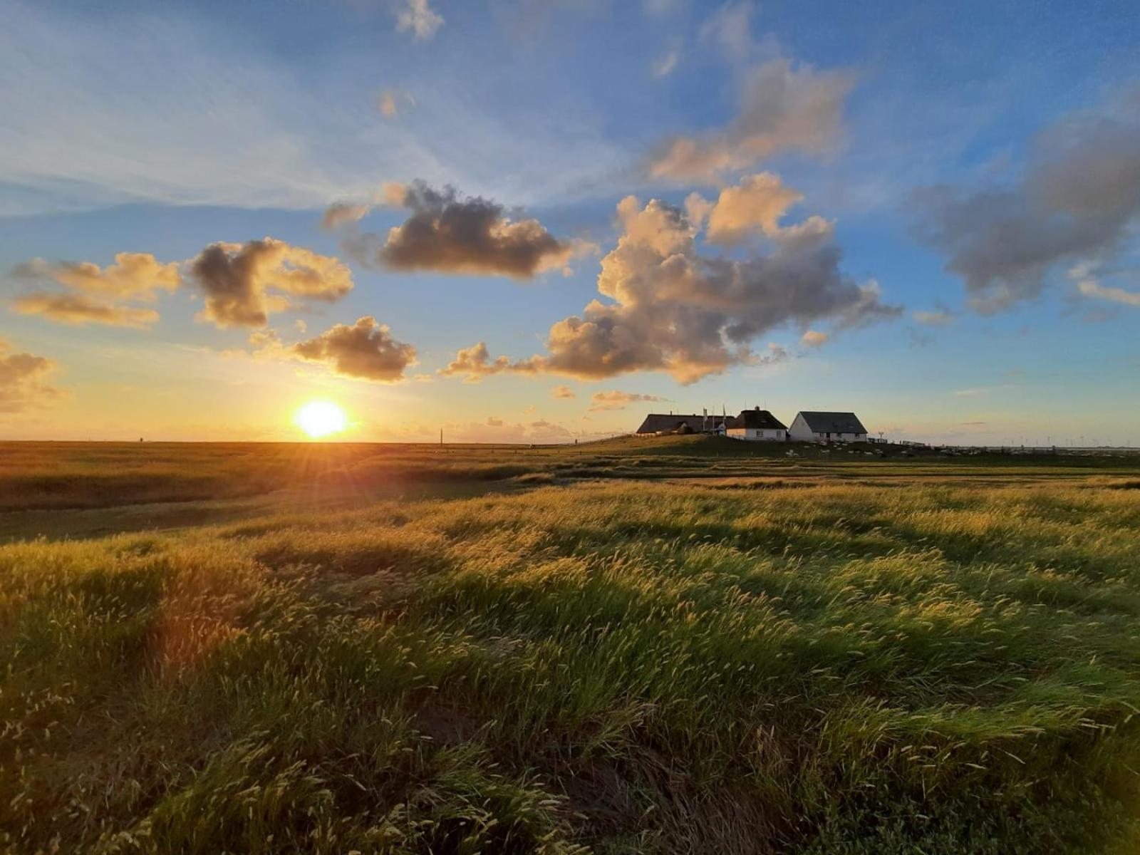 Nordsee Bauernhof Familie Wulff Fewo "Suedfall" Reußenköge Kültér fotó