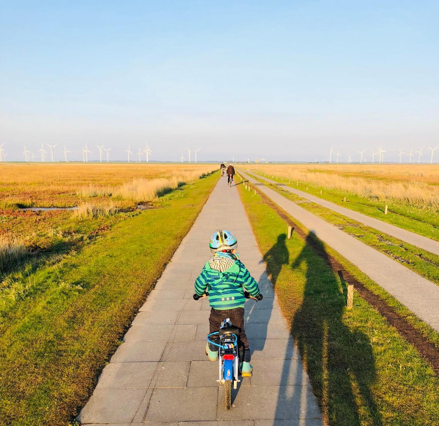 Nordsee Bauernhof Familie Wulff Fewo "Suedfall" Reußenköge Kültér fotó